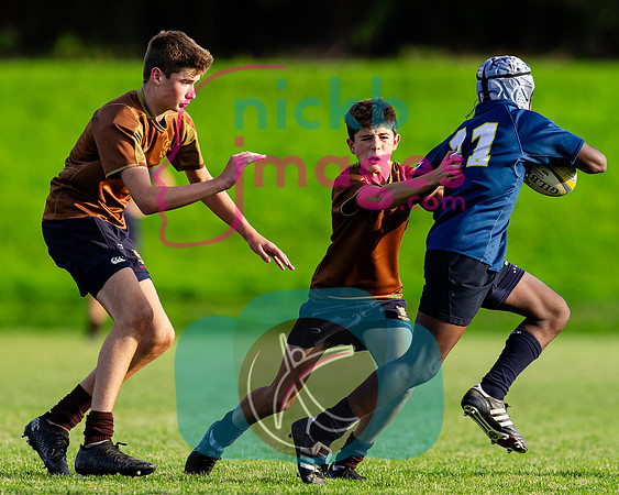 U14A-Sedbergh-v-Ipswich-240926-44