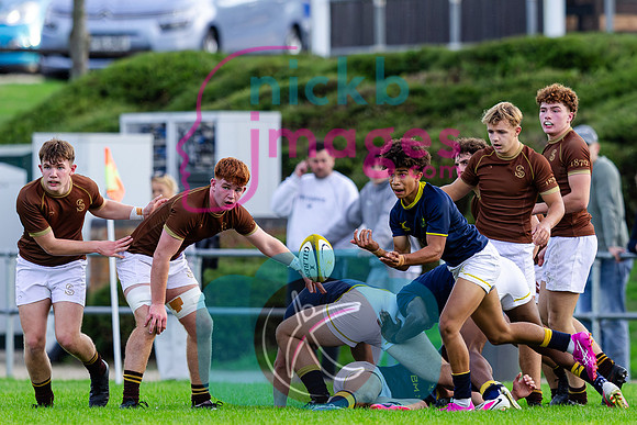 1st-XV-Sedbergh-v-Ipswich-240926-74