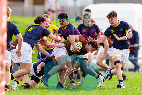 1st-XV-Sedbergh-v-Ipswich-240926-121
