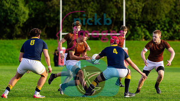 1st-XV-Sedbergh-v-Ipswich-240926-52