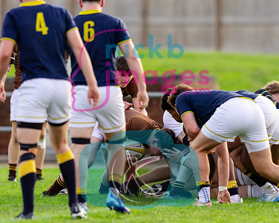 1st-XV-Sedbergh-v-Ipswich-240926-113