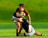 Sedbergh 1st XV v Ipswich Greyhounds XV, 24 Sep 2026
