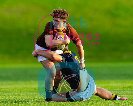 1st-XV-Sedbergh-v-Ipswich-240926-61