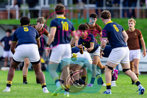 1st-XV-Sedbergh-v-Ipswich-240926-97