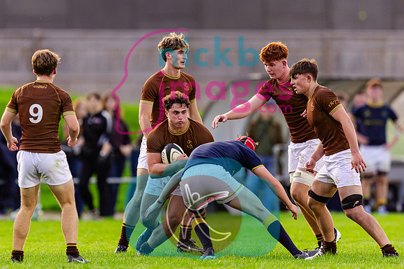 1st-XV-Sedbergh-v-Ipswich-240926-142