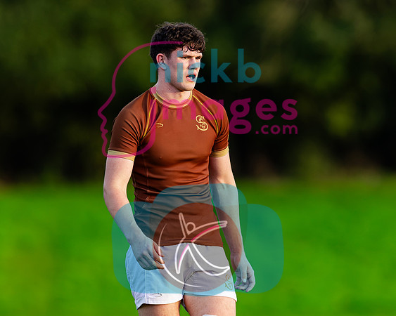 1st-XV-Sedbergh-v-Ipswich-240926-83