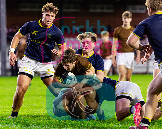 1st-XV-Sedbergh-v-Ipswich-240926-183