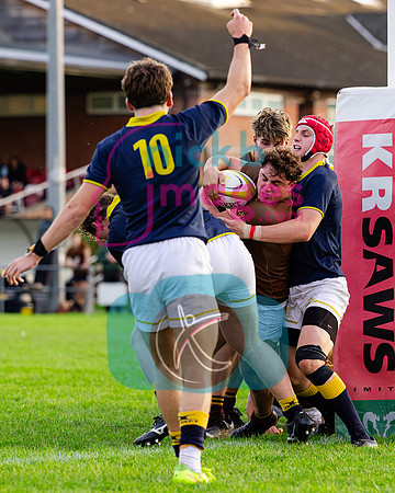 1st-XV-Sedbergh-v-Ipswich-240926-117
