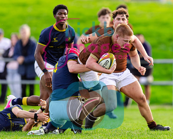 1st-XV-Sedbergh-v-Ipswich-240926-120