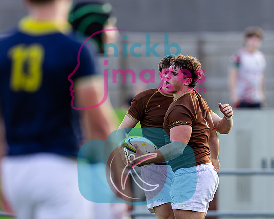 1st-XV-Sedbergh-v-Ipswich-240926-123