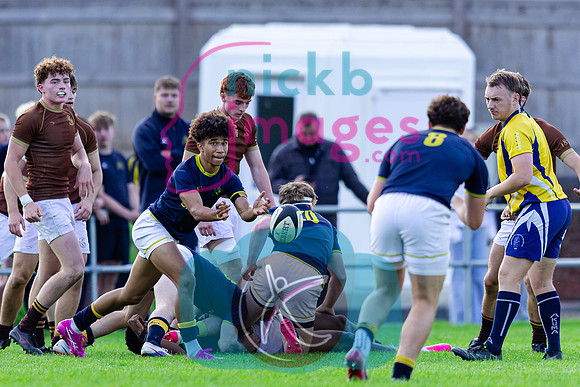 1st-XV-Sedbergh-v-Ipswich-240926-134