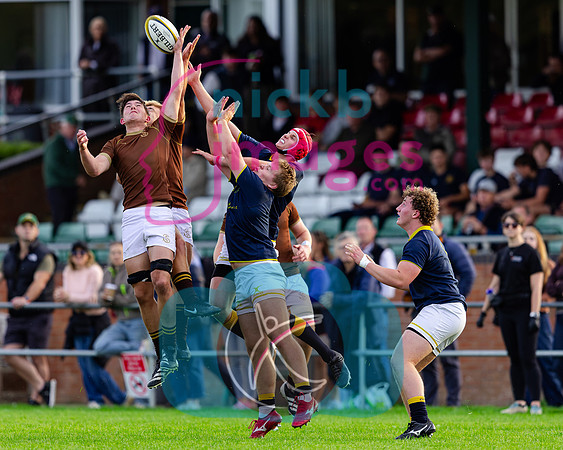 1st-XV-Sedbergh-v-Ipswich-240926-67