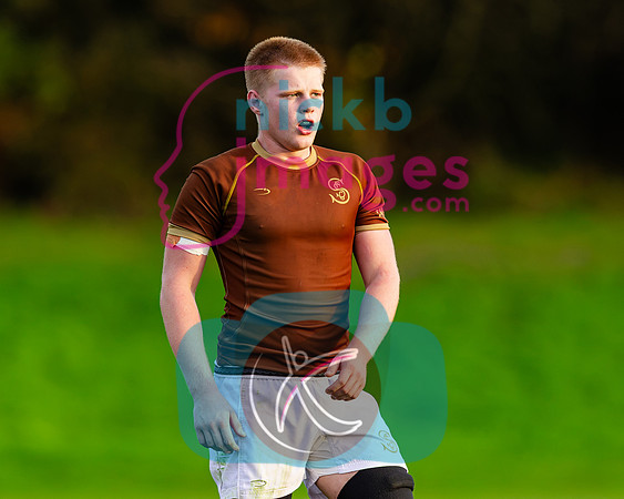 1st-XV-Sedbergh-v-Ipswich-240926-84