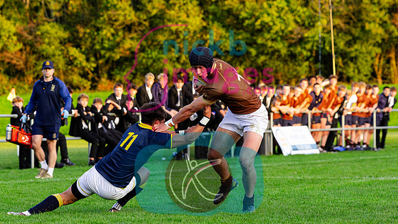 1st-XV-Sedbergh-v-Ipswich-240926-119