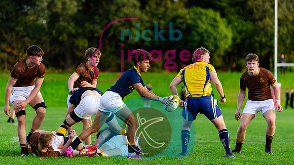 1st-XV-Sedbergh-v-Ipswich-240926-103