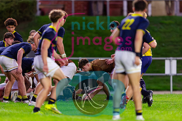 1st-XV-Sedbergh-v-Ipswich-240926-179
