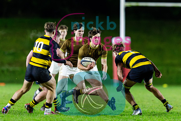Sedbergh-1XV-v-Wellington-1XV-201124-80