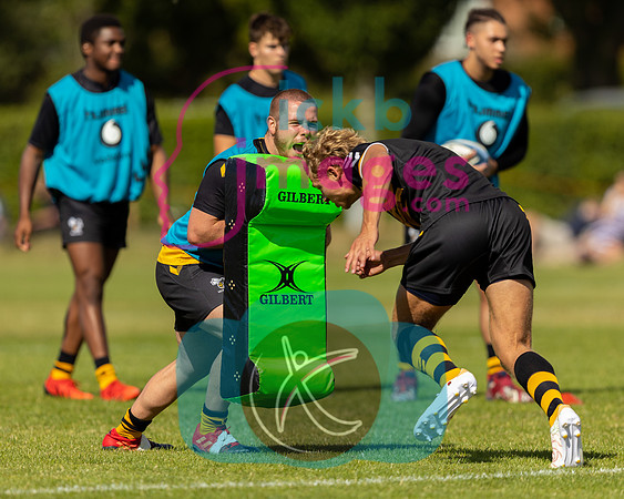 Wasps_U18s_v_Leinster_U18s_050822-026