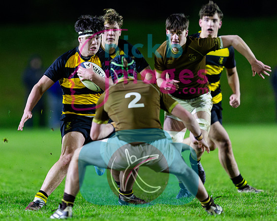 Sedbergh-1XV-v-Wellington-1XV-201124-24