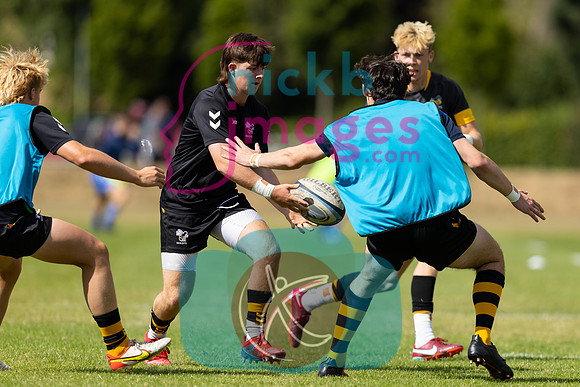 Wasps_U18s_v_Leinster_U18s_050822-019