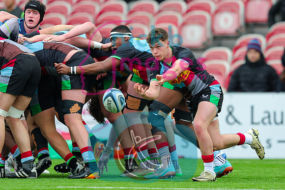 Academy-League-5th-Place-160225-Quins-v-Yorks-8