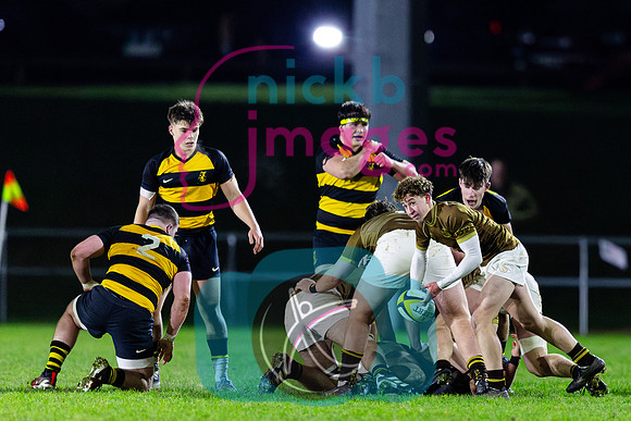 Sedbergh-1XV-v-Wellington-1XV-201124-62
