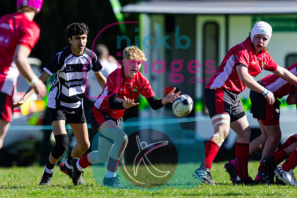 Warwickshire-RFU-Cup-Finals-U14-060425-4