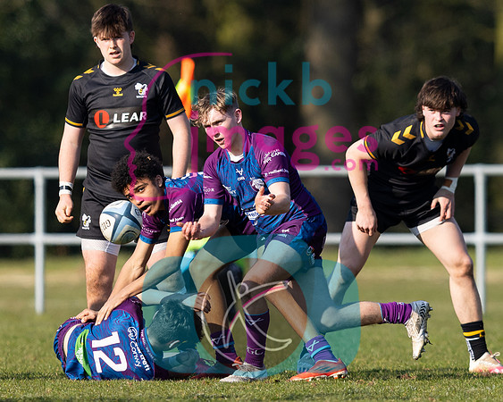 Wasps_U16s_v_Rygbi_Gogledd_Cymru_200322_118