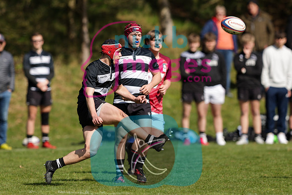 RFU_U16_Festival__Tigers_020422_006