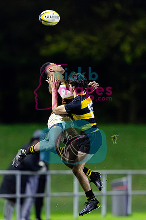 Sedbergh-1XV-v-Wellington-1XV-201124-98