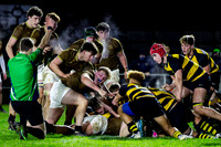 Sedbergh-1XV-v-Wellington-1XV-201124-105