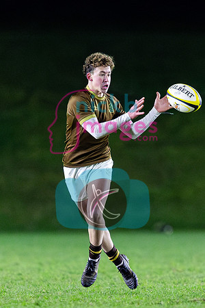 Sedbergh-1XV-v-Wellington-1XV-201124-88