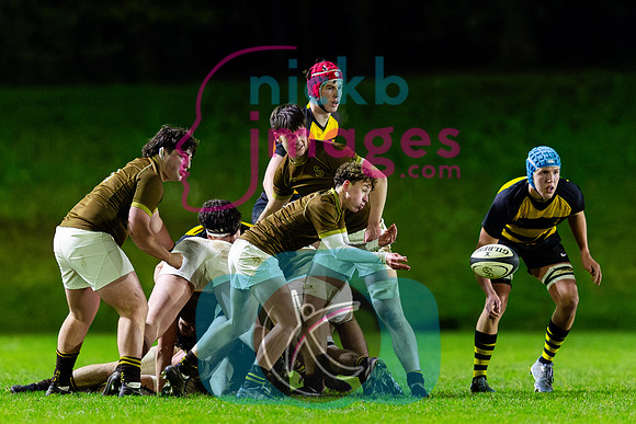 Sedbergh-1XV-v-Wellington-1XV-201124-30