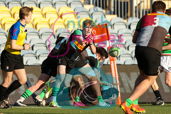 Prem_Rugby_Academy_League_Leicester_Tigers_v_Harlequins_019