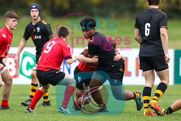 Wasps_U16s_v_Boys_Club_of_Wales_133