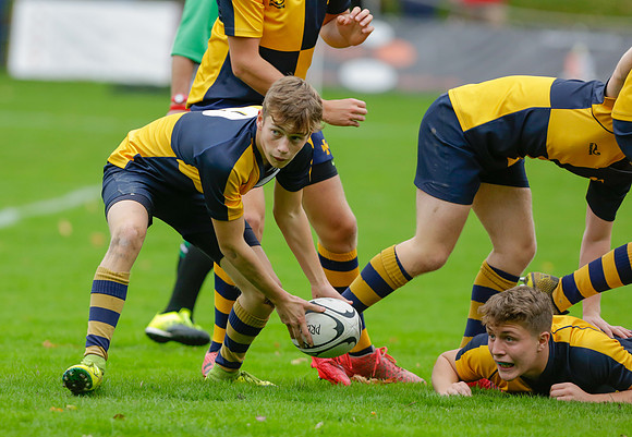 BVGS v KES