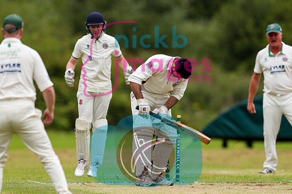 BCC_Sat4v_SolBloss-8
