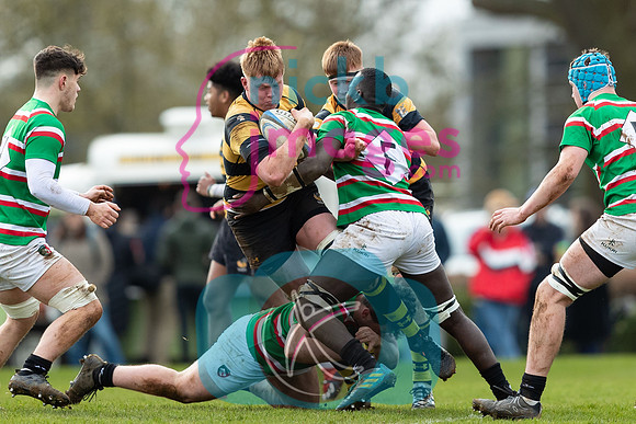 Wasps_U17s_v_Leicester_Tigers_U17s_220220_010