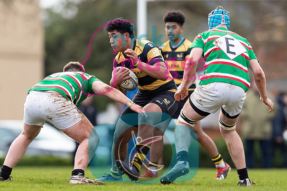Wasps_U17s_v_Leicester_Tigers_U17s_220220_011