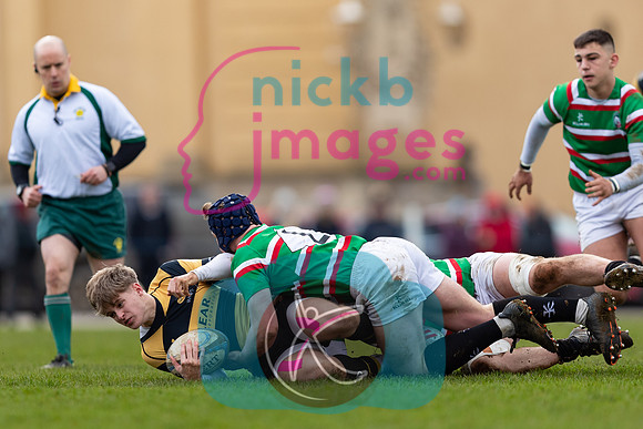 Wasps_U17s_v_Leicester_Tigers_U17s_220220_014