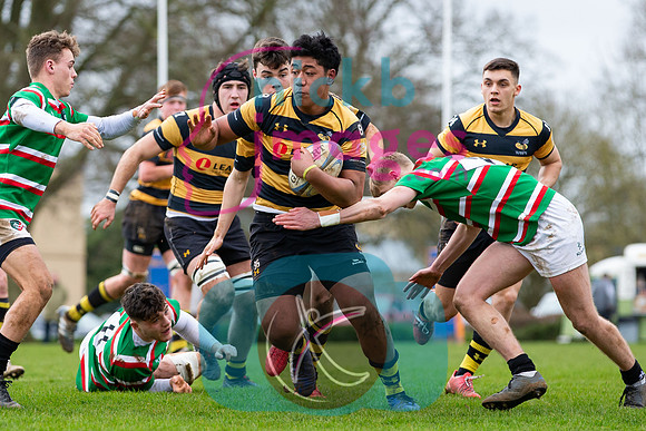 Wasps_U17s_v_Leicester_Tigers_U17s_220220_015