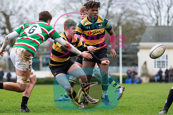 Wasps_U17s_v_Leicester_Tigers_U17s_220220_016