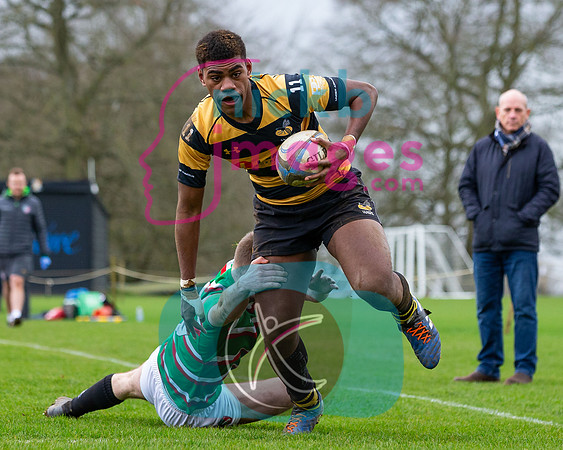 Wasps_U17s_v_Leicester_Tigers_U17s_220220_017
