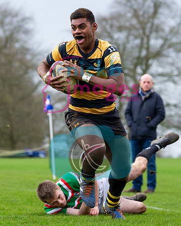 Wasps_U17s_v_Leicester_Tigers_U17s_220220_018