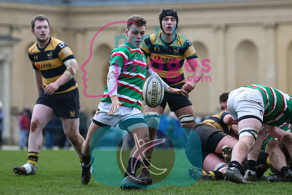 Wasps_U17s_v_Leicester_Tigers_U17s_220220_024