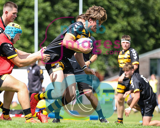 Wasps_U17s_RFU_Malvern_004