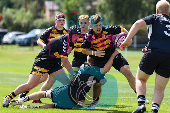 Wasps_U17s_RFU_Malvern_009