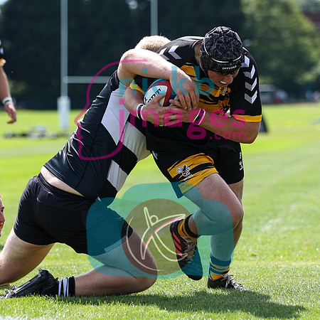 Wasps_U17s_RFU_Malvern_014