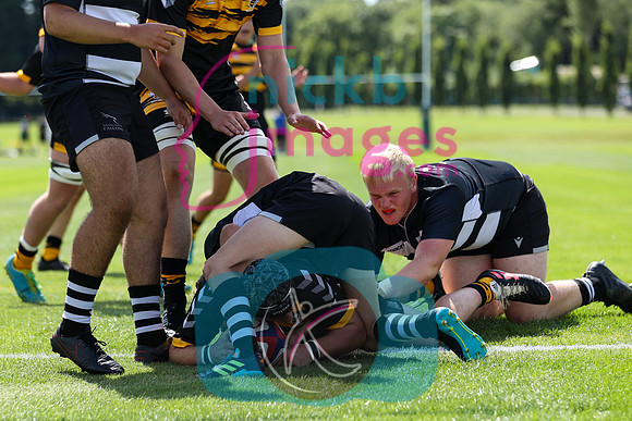 Wasps_U17s_RFU_Malvern_015