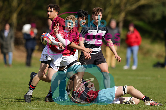 RFU_U16_Festival__Tigers_020422_015